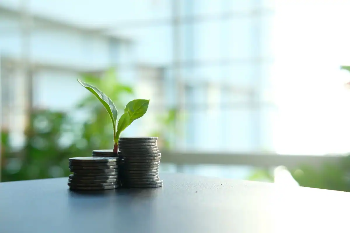 Plantă mică ce crește dintr-un teanc de monede, imagine a dobânzii compuse